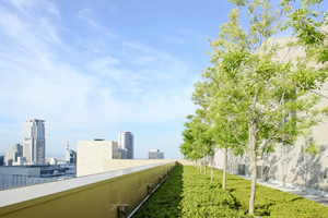 緑化作業
